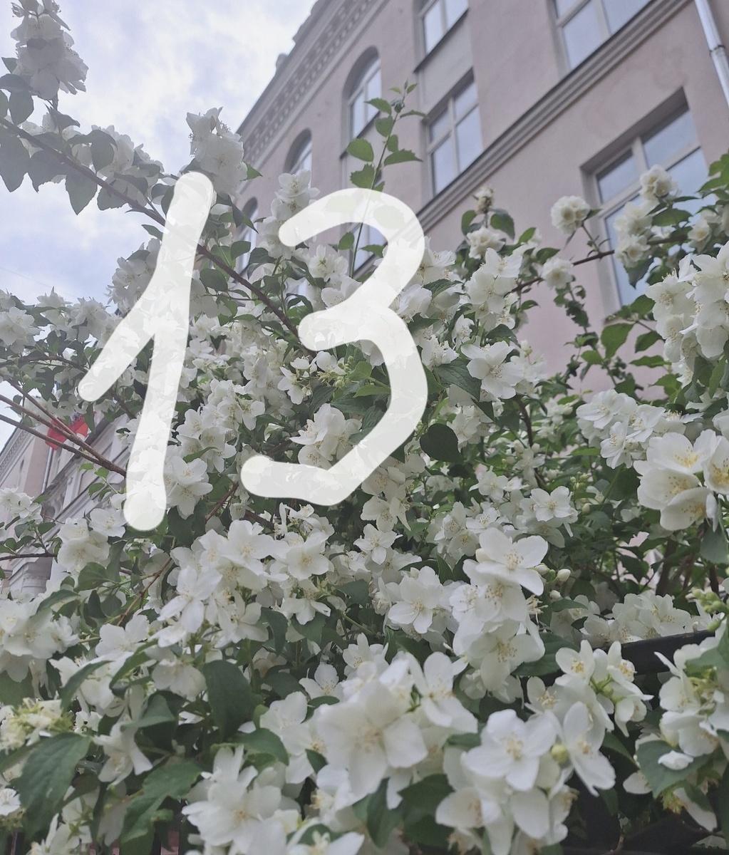 Фотоколлаж - собственность автора канала.