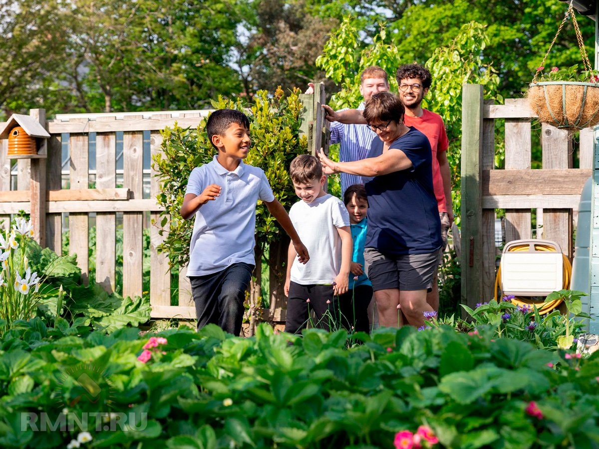 Фото bosch-diy.com