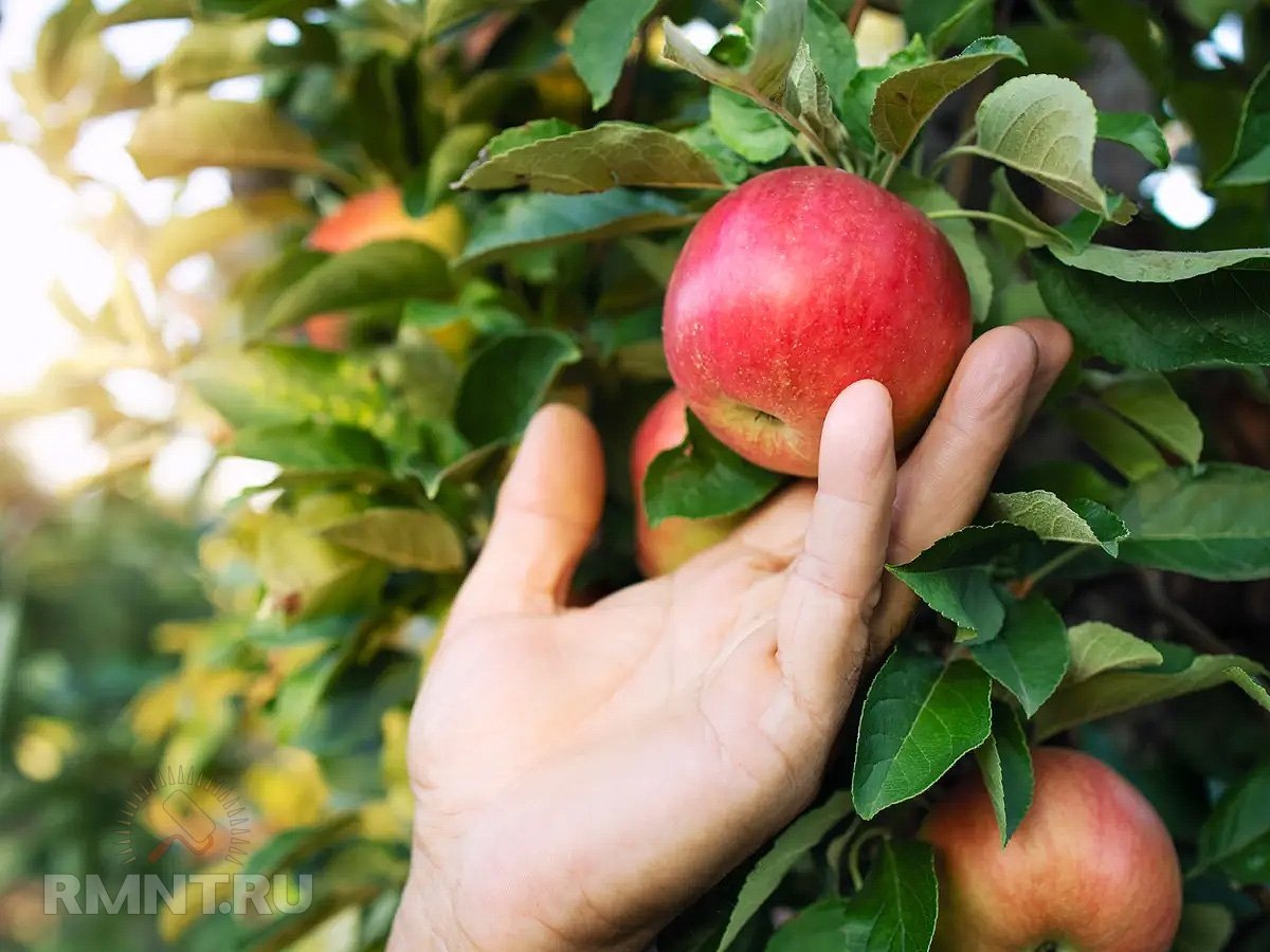 Фото secretmag.ru