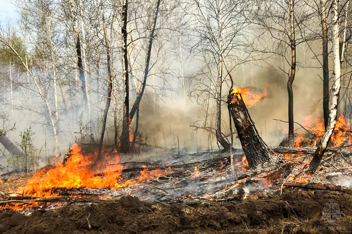   © МЧС России по Пермскому краю