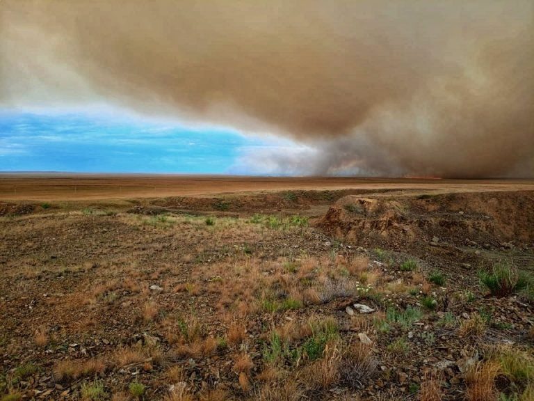    На востоке Оренбуржья потушили степной пожар у границ заповедника Оренбуржье