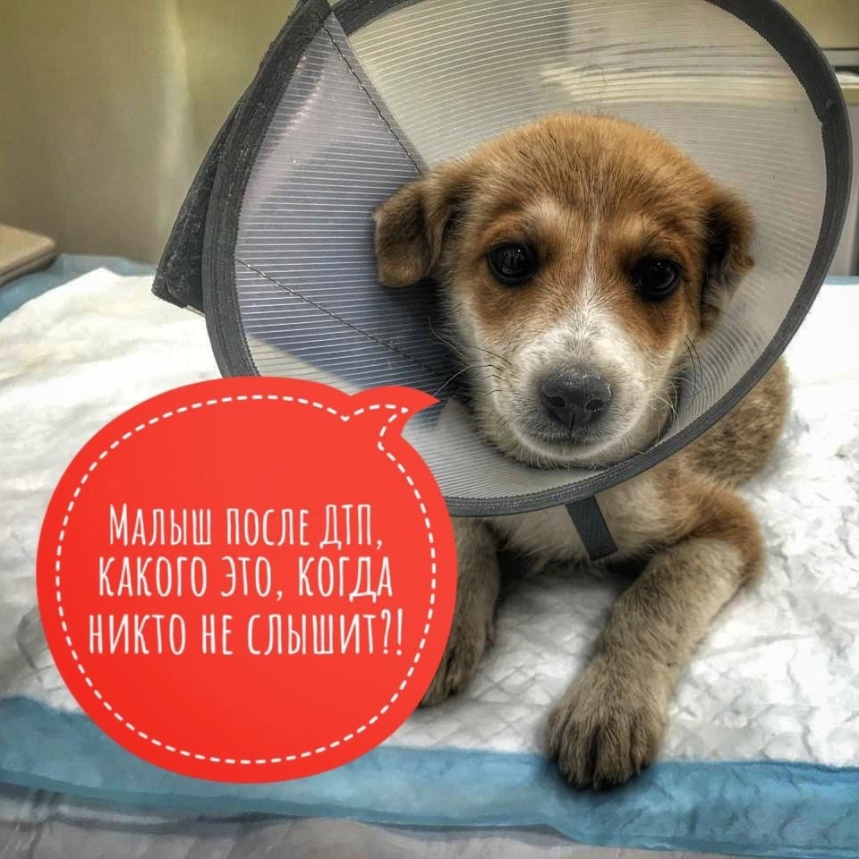  К сожалею, нет ни рубля на операцию. Сумма к сбору будет около 30 000 рублей...