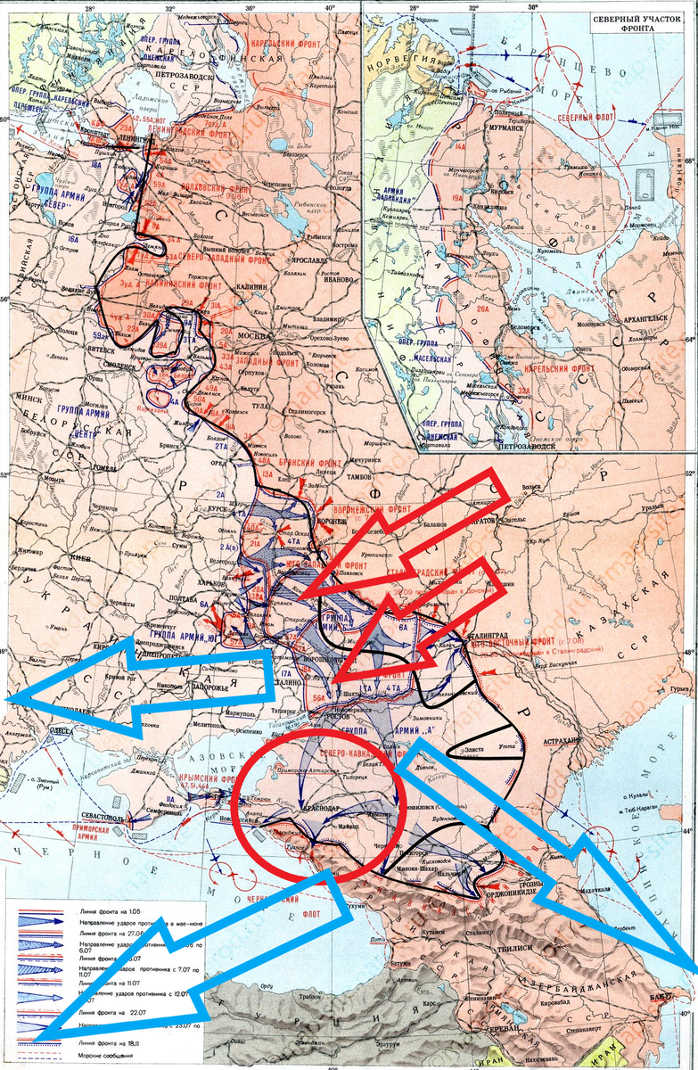 (Фото взято из открытых источников).