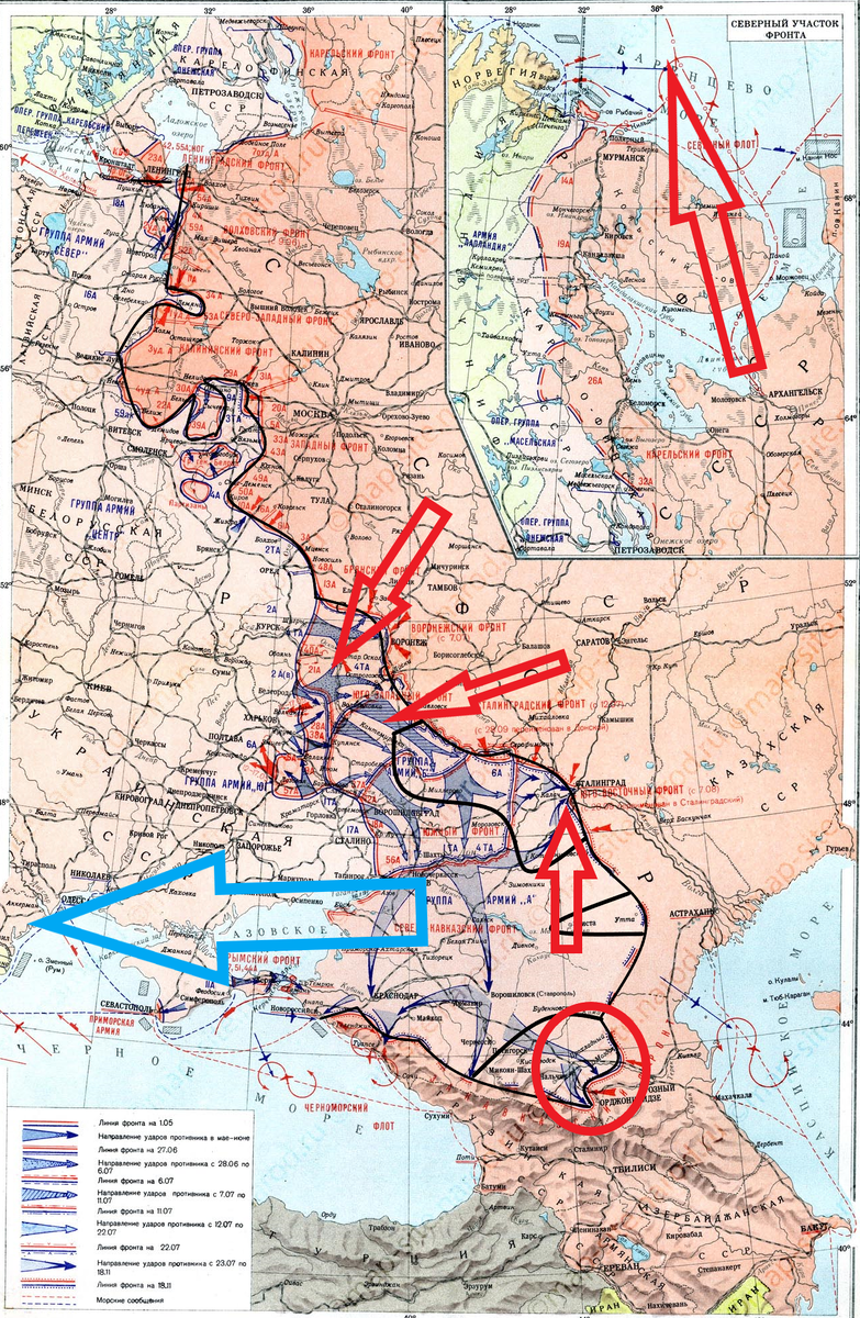(Фото взято из открытых источников).