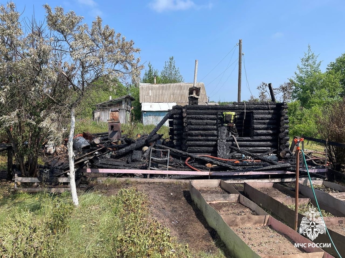     11 пожаров произошло в Удмуртии 12 июня