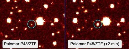Изображения Gaia22ayj, полученные ZTF, показывают, что это один из самых экстремально пульсирующих объектов, известных в космосе. Gaia22ayj — объект в центре изображения, явно ярче на правом снимке, чем на левом, который был сделан двумя минутами ранее.(Изображение предоставлено: ZTF/Caltech Optical Observatories/A. Rodriguez)