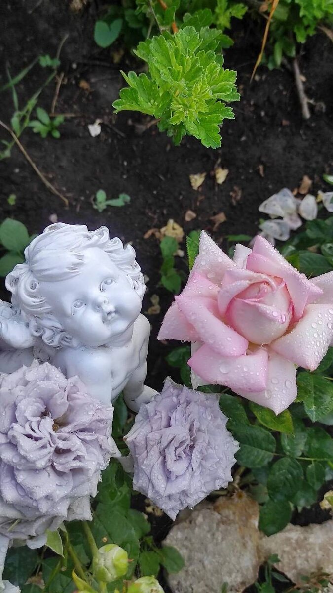 Замок Черники и Эмейзинг Грэйс 