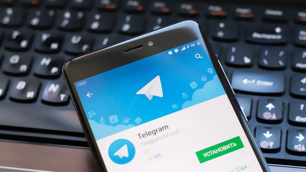    Фото: Starikov Pavel/Shutterstock/Fotodom