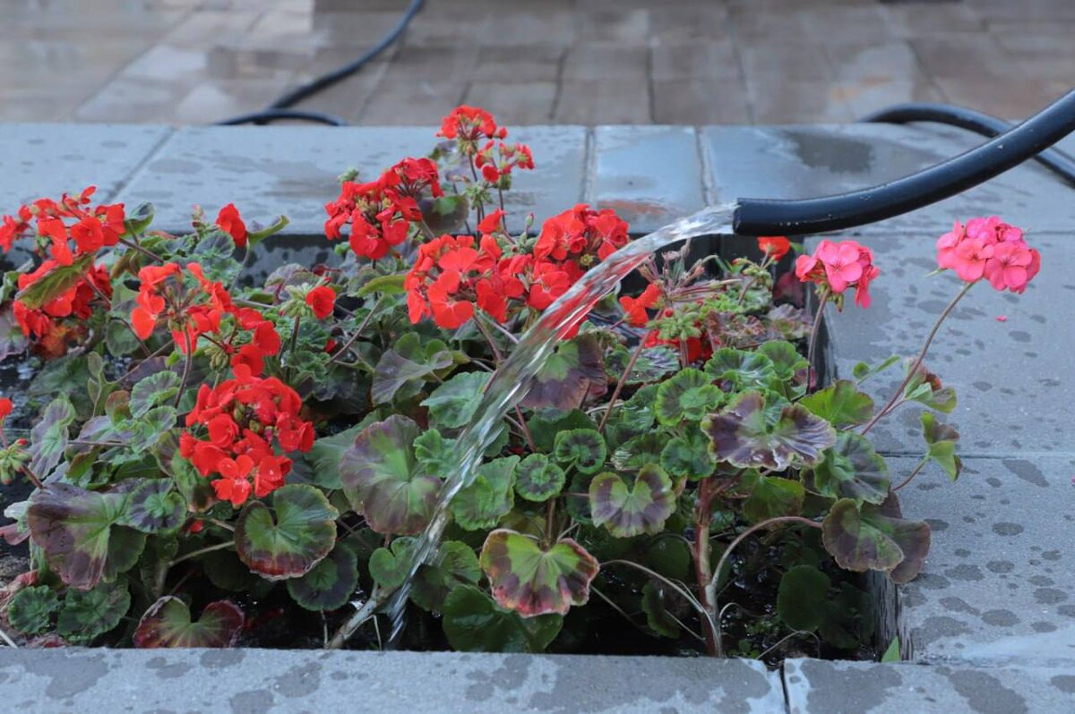    Фото Администрации Самары