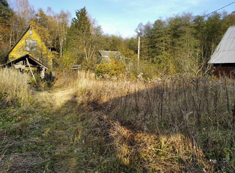 Таким мы купили наш участок 