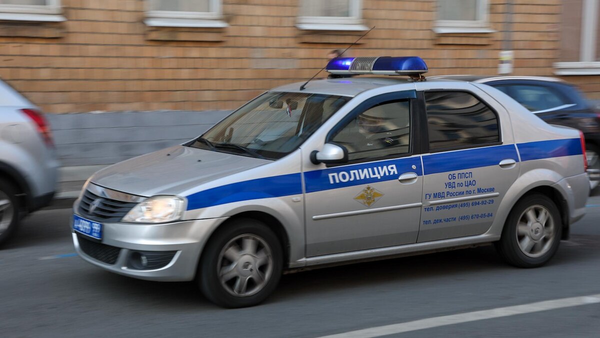    Фото: Belkin Alexey/news.ru