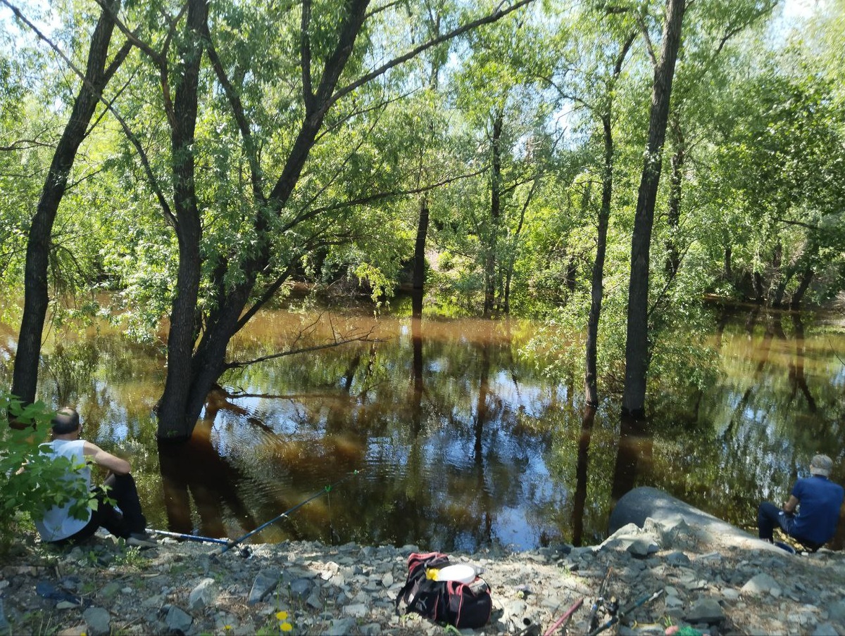 Берег реки Барнаулка