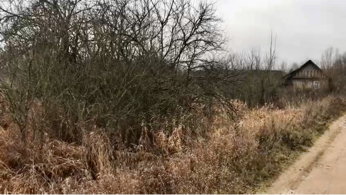 Ноябрь 2020. Вид участков с улицы.