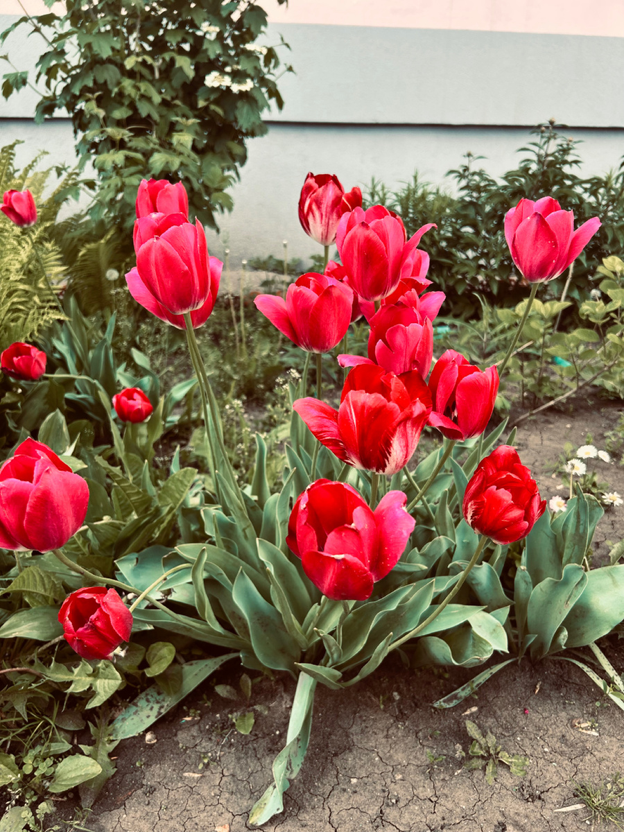 Фотография автора канала.