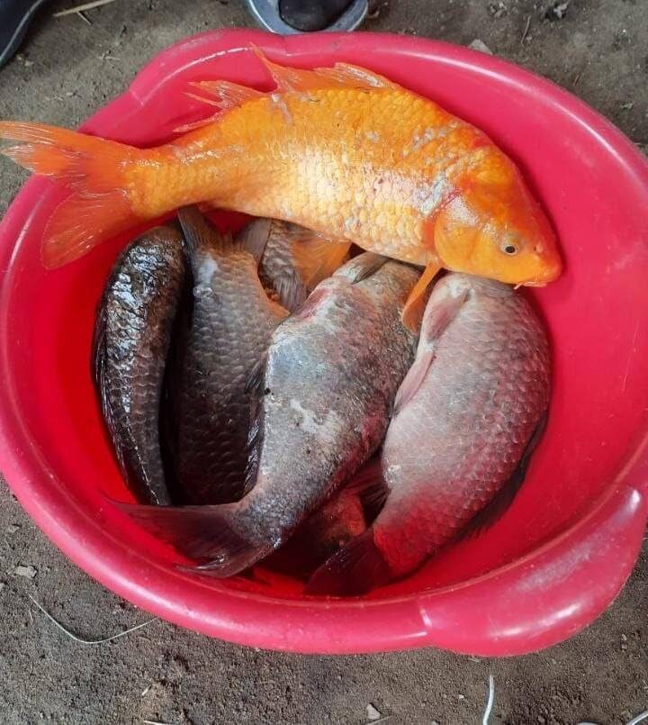    Источник фото: