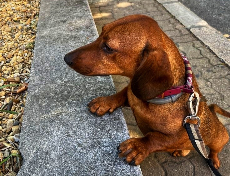 Всегда интересно, что прячется за следующим поворотом
