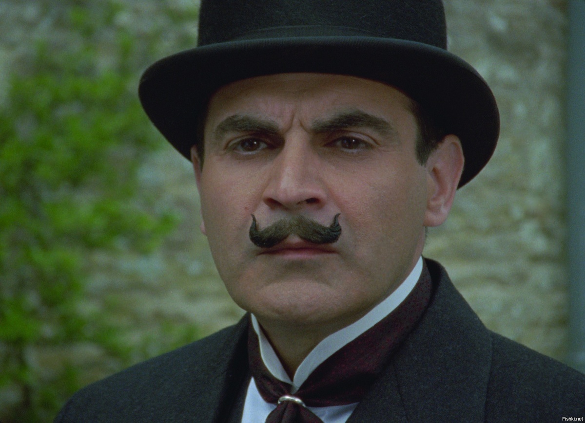 Канонический Пуаор - Дэвид Суше