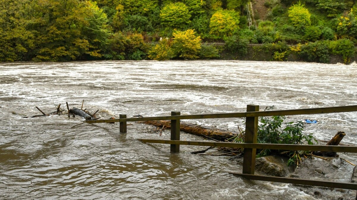    Фото: Ceri Breeze/Shutterstock/Fotodom