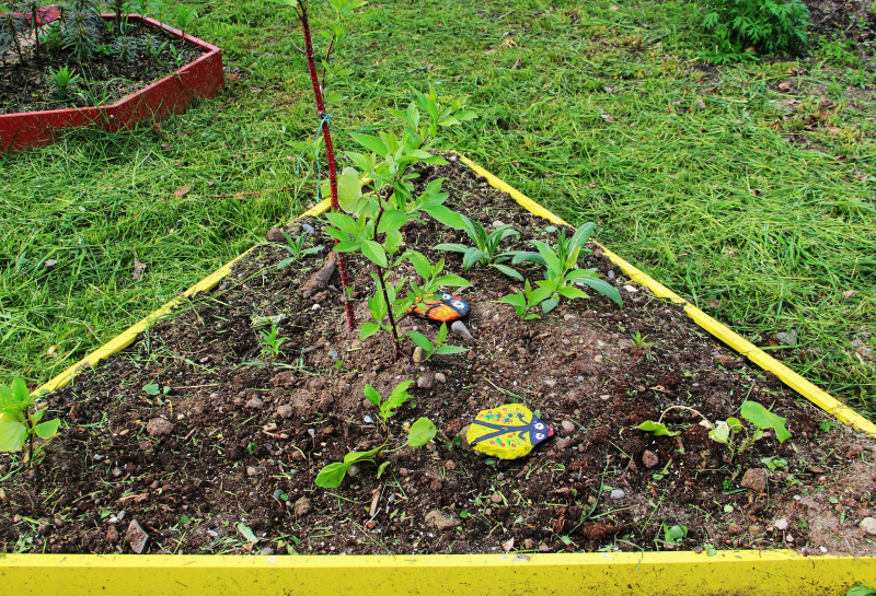    Дошколята украсили сквер паллиативного центра КарелииГБУЗ РК "Центр паллиативной медицинской помощи" / VK