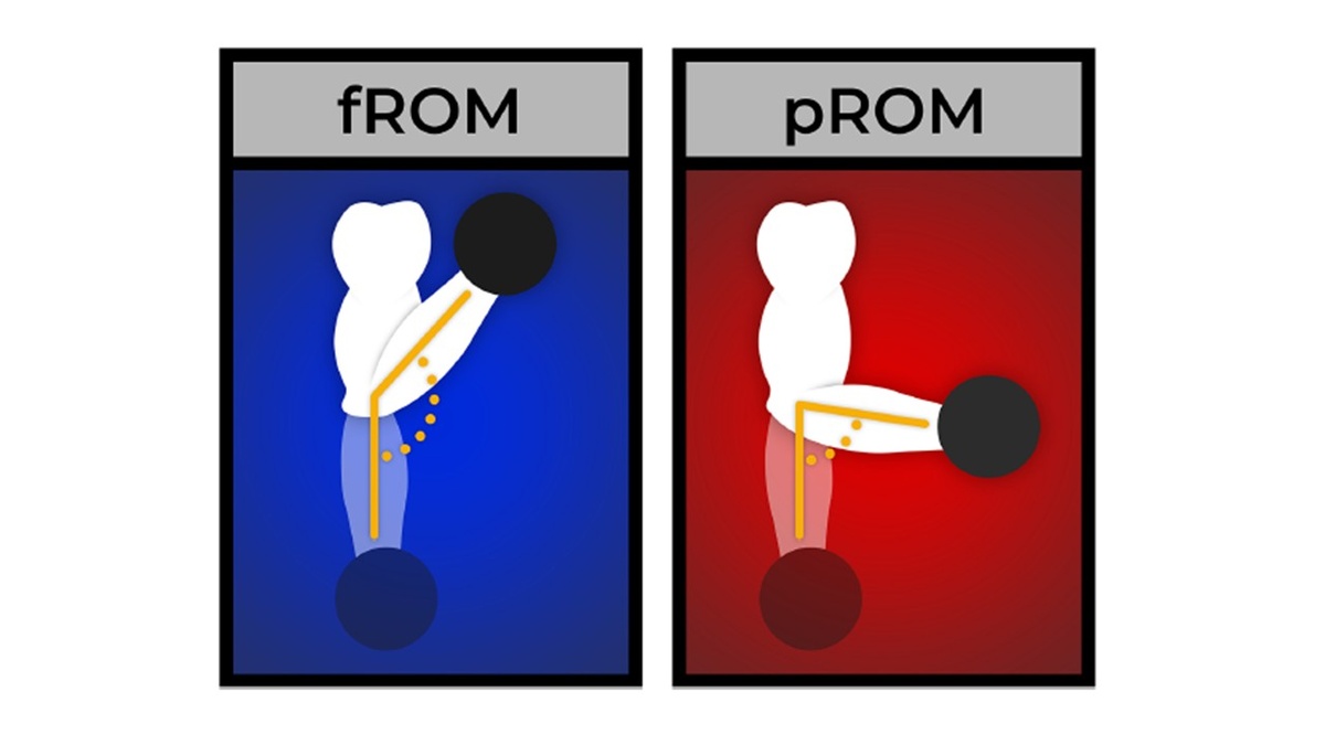 Рисунок 1. Пример диапазона движений для двух групп.