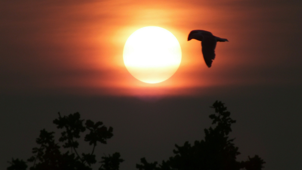    Victor Lisitsyn/Globallookpress