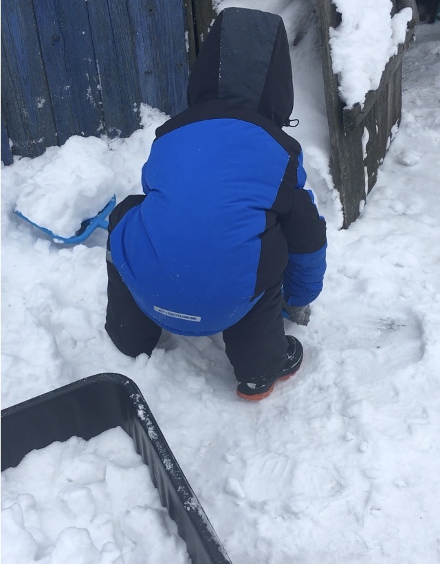 Деду зимой помогает возить снег