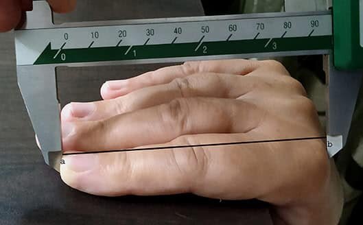    Корректная процедура измерения пальцевого индекса: пальцы кладут на стол, чтобы они образовали с кистью прямой угол  / © Wikimedia Commons