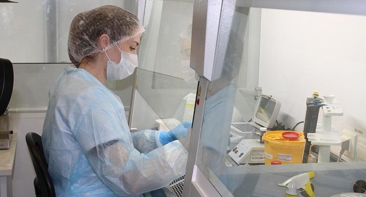    Защита сельхозживотных летом от кровососущих насекомых важна