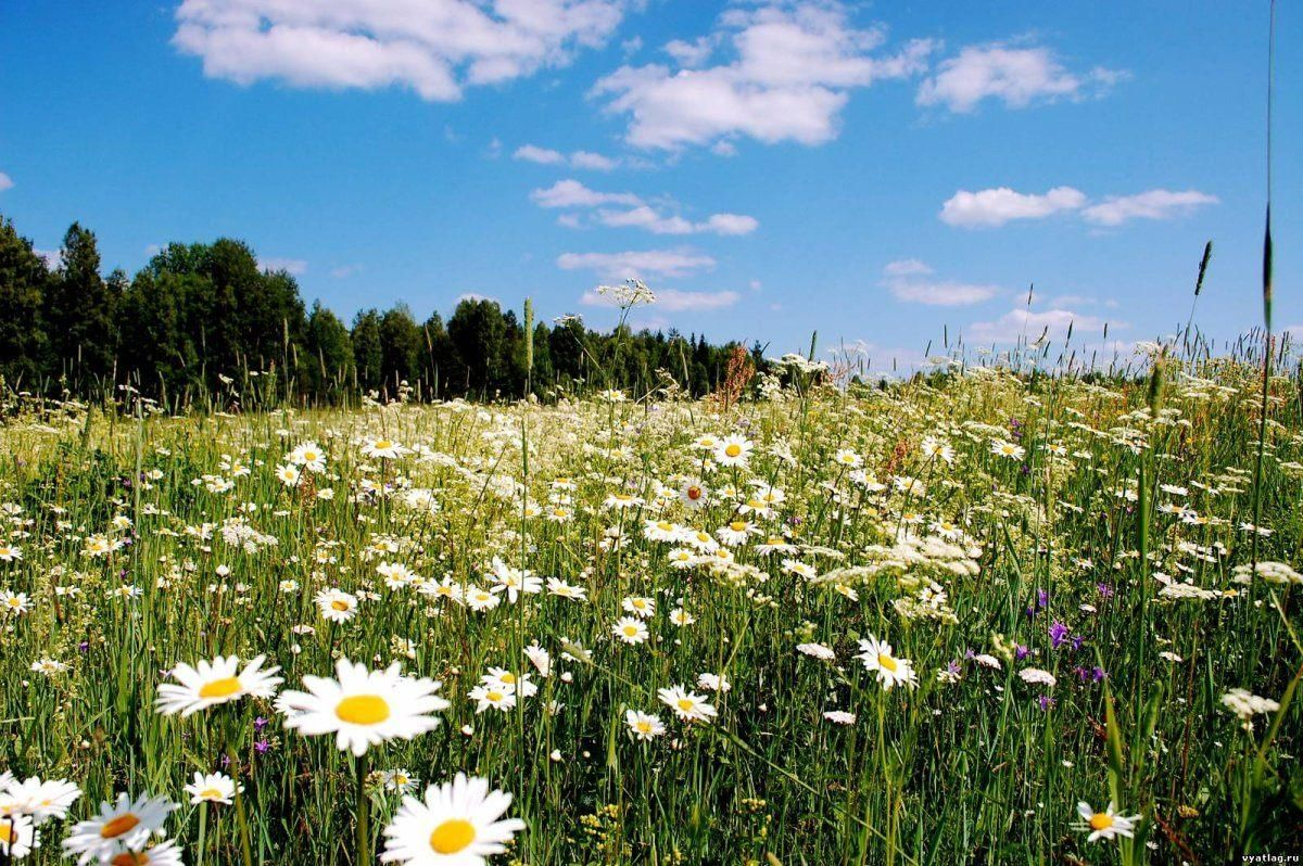 Природа родного края