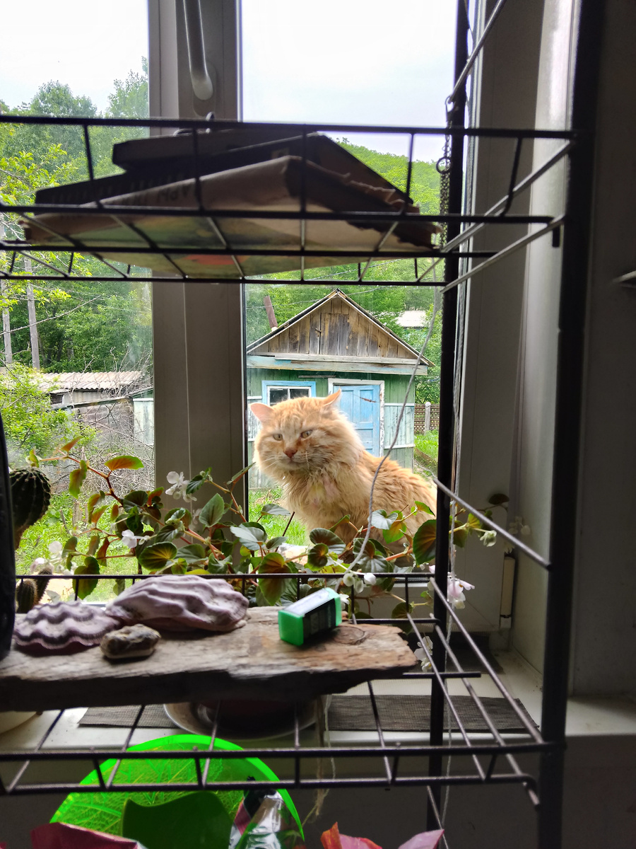 Фото автора