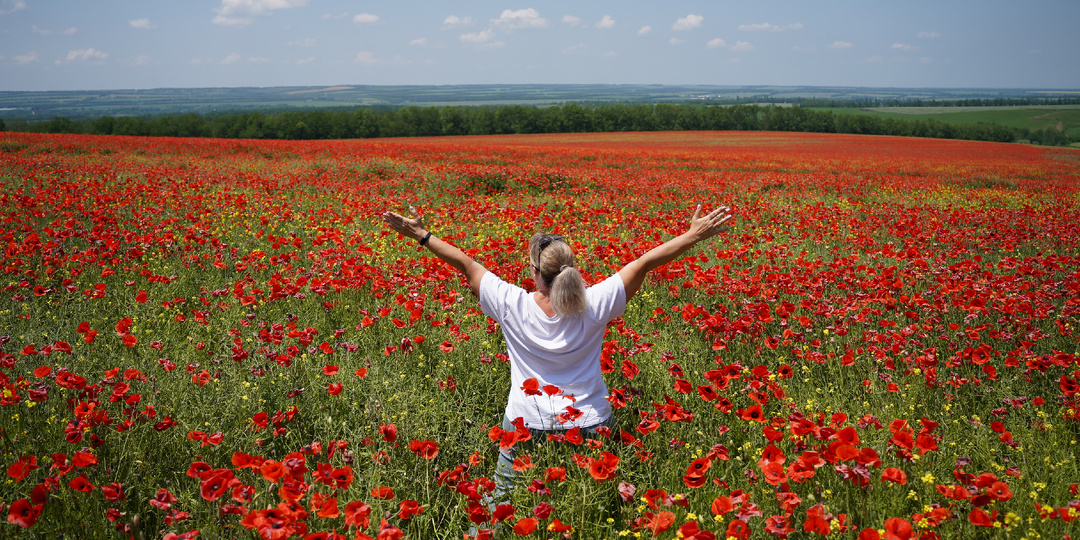 Отпуск 2026 в Мостовском