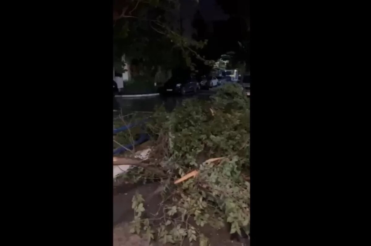    Шторм в Махачкале оставил город без света и воды, а также повалил деревья