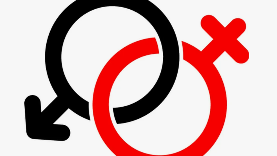 Еда, рак и секс: Что человек разрушил в естественной системе выживания