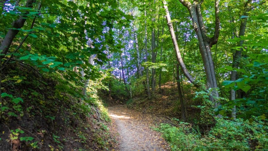    Фото: KazanFirst