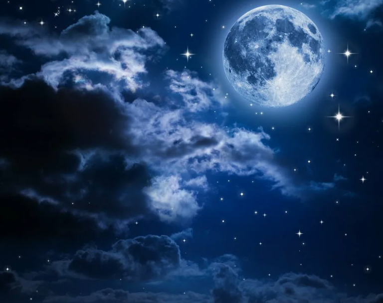 картинки Яндекс