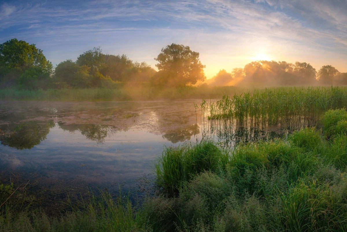    13 июня — день образования Курской области