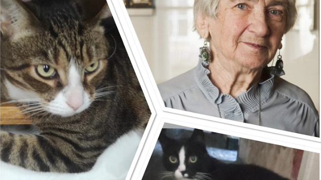 Фото: "Государственный Эрмитаж/ВКонтакте"