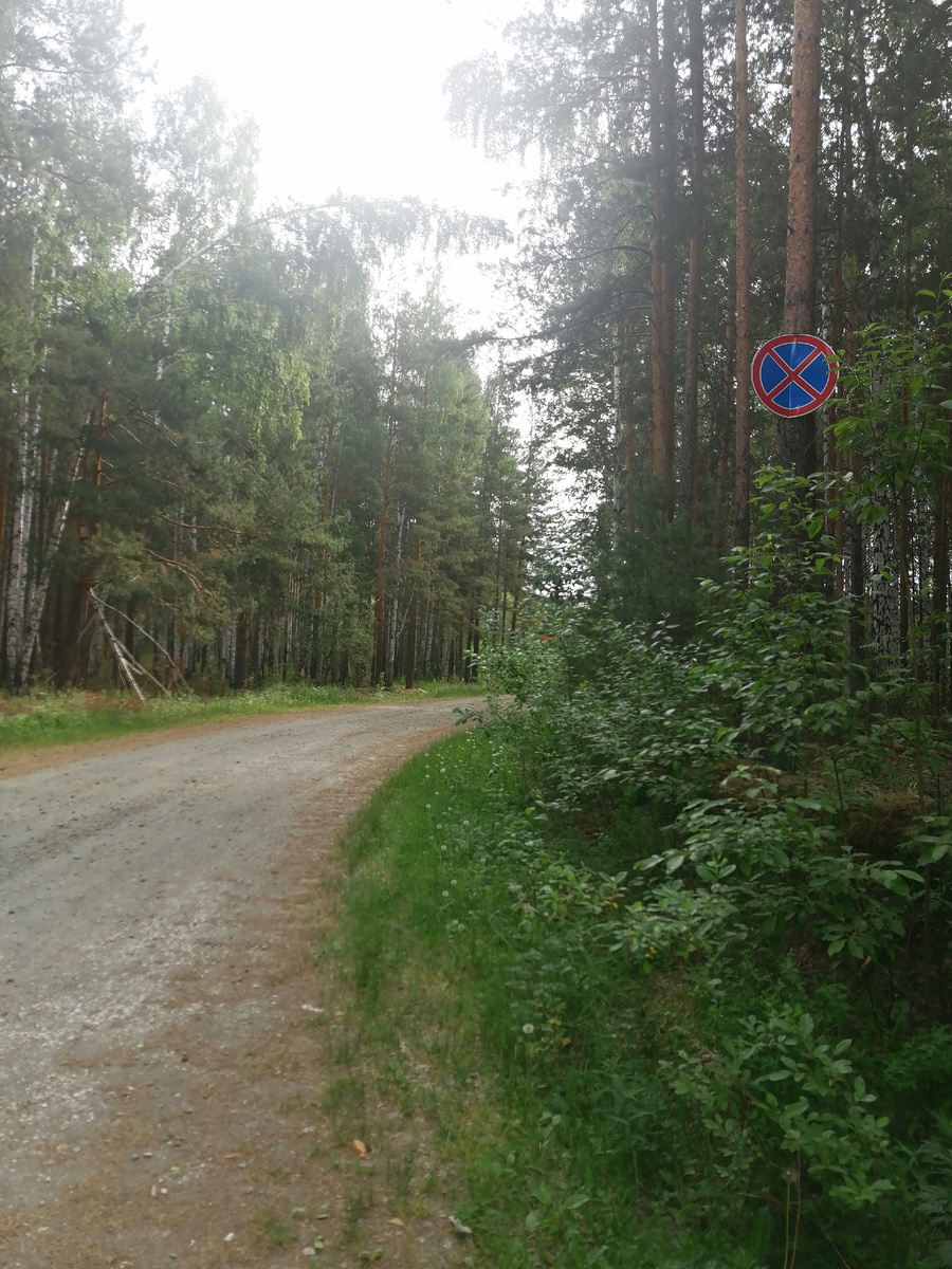 Авто оставляем перед знаком