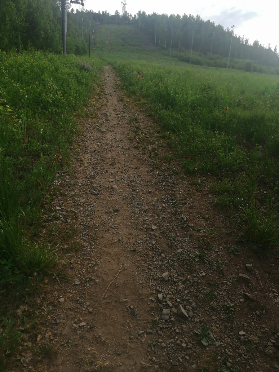 Склон горы Волчиха. 