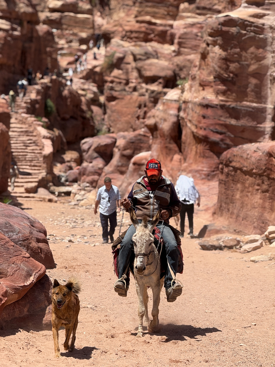 Где-то на дорогах Петры.