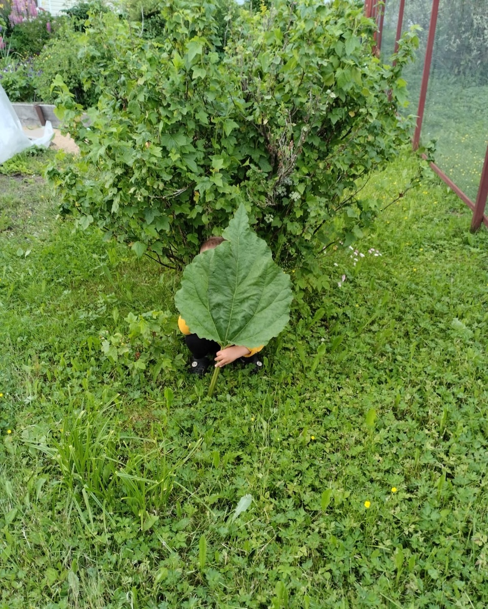 Найди ребёнка