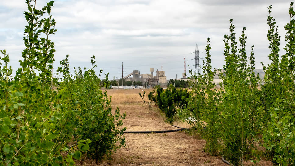 Полигон промышленных отходов Волжского трубного завода (ВТЗ, входит в ТМК).📷Фото: Евгения Яблонская / Коммерсантъ