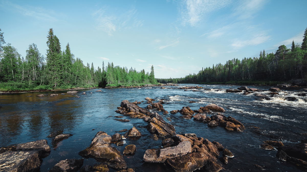 Национальный парк Паанаярви в Карелии