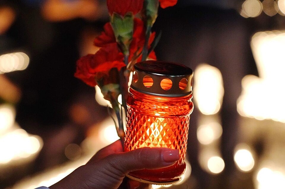    Фото: Wikimedia Commons Василий Шеин