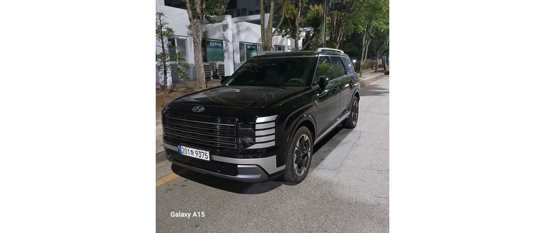 палисад 2025 г