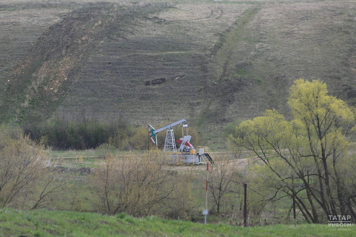 Фото: © Рамиль Гали / «Татар-информ»
