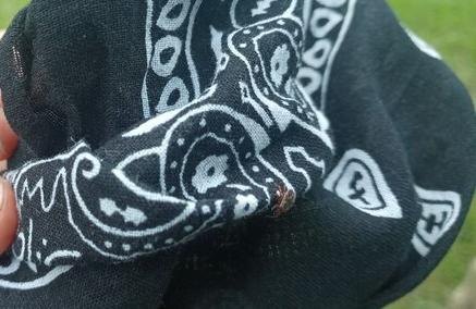    Фото автора