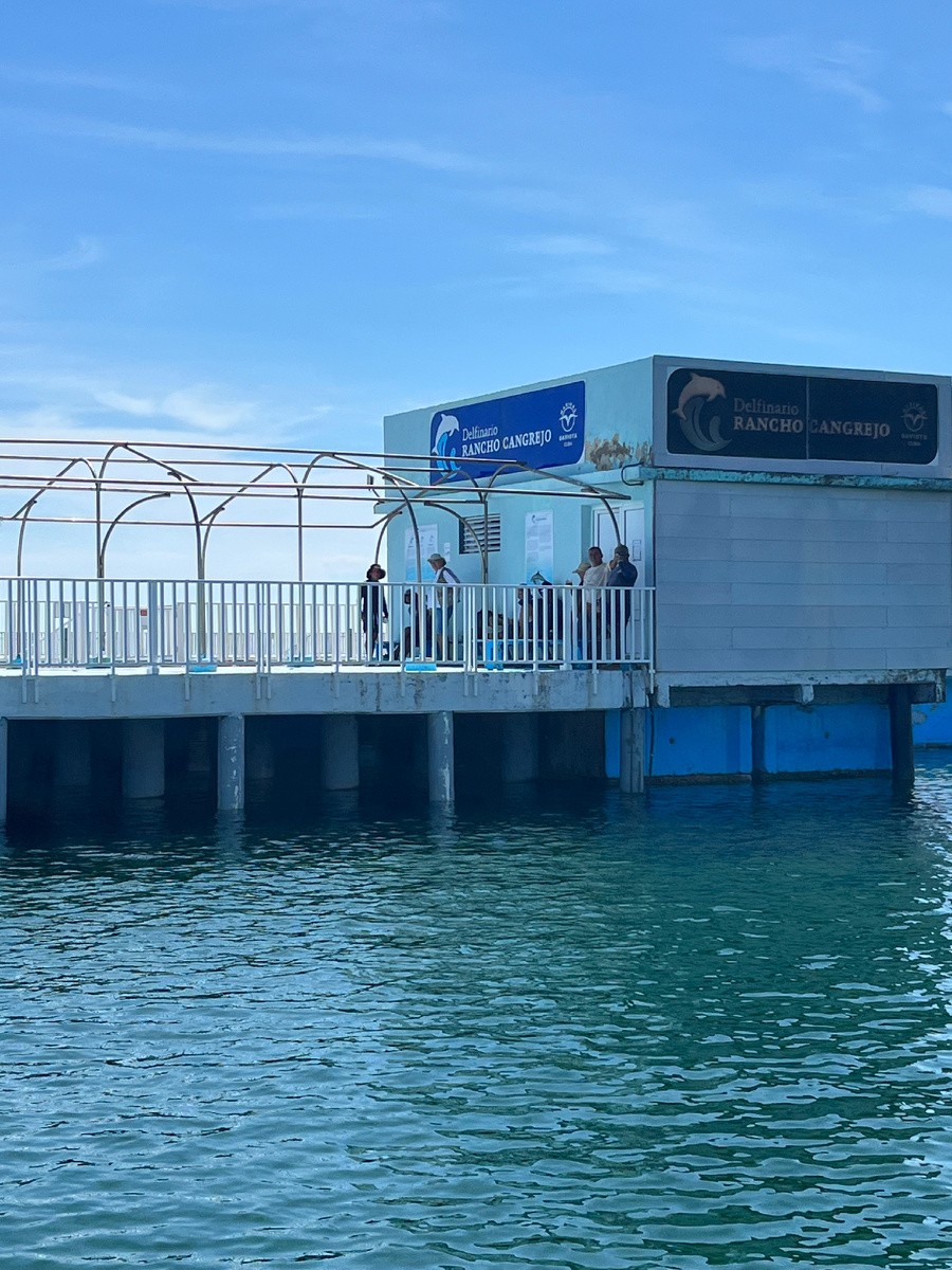 Дельфинарий в океане, подплываем