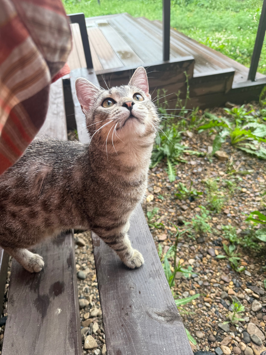 Неужели там вкусняшка?