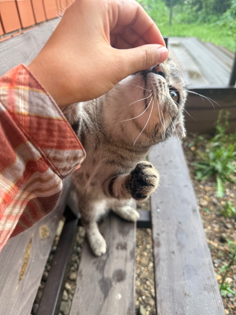 Ой, кажется, ничего нет👀